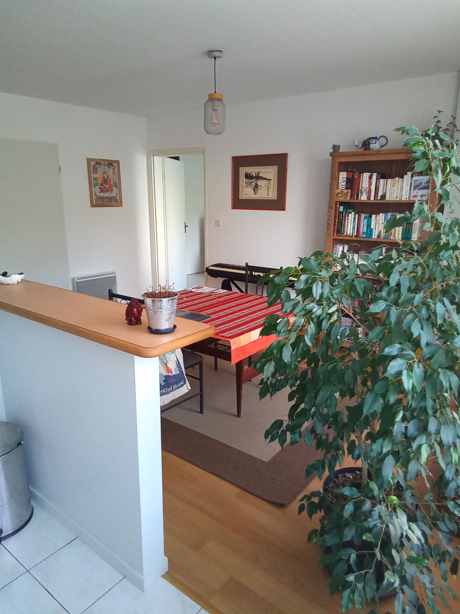 Homestay Tours 292231