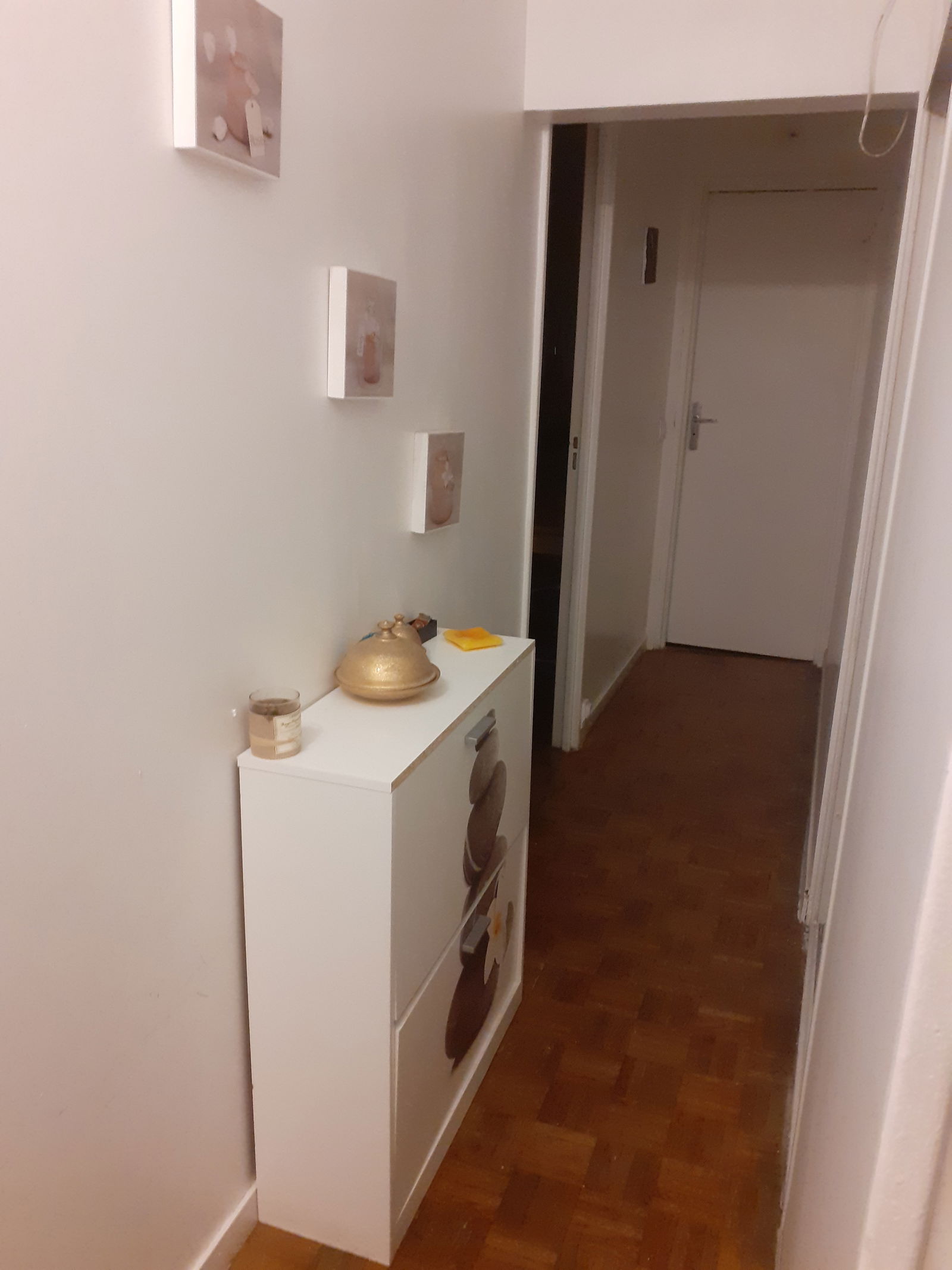 Colocation Massy 252083