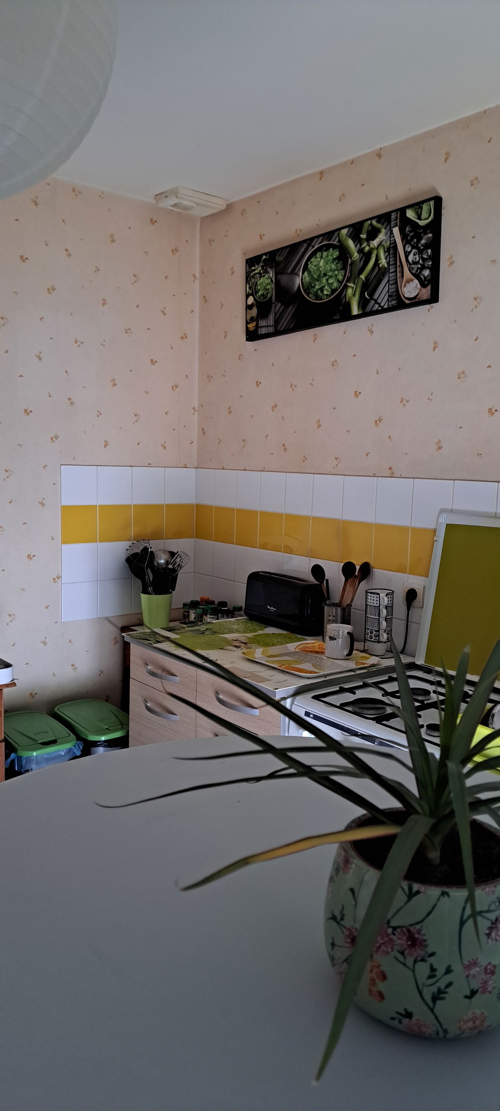 Colocation Saint-Florentin 298249