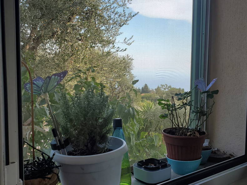 Homestay Èze 351675-1