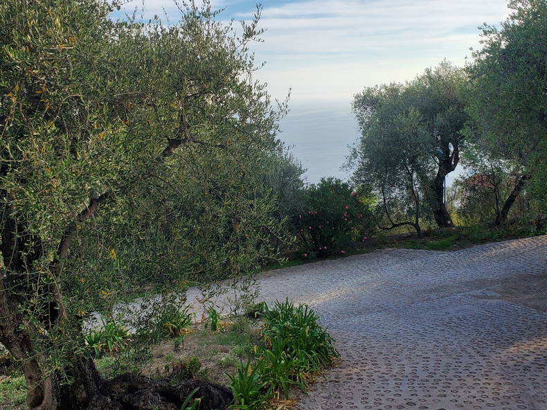 Homestay Èze 351675-2