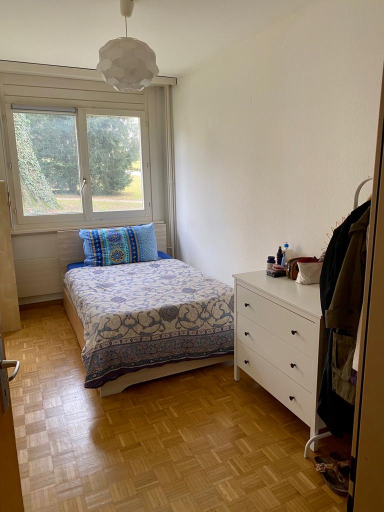 Shared Housing Genève 262887