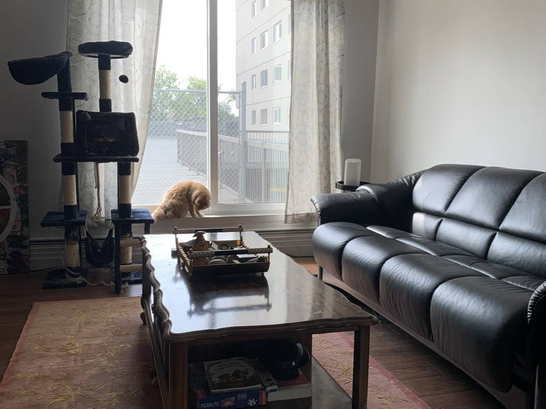 Gastfamilie Calgary 430449-2