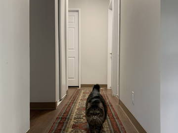 Chambre Chez L'habitant Calgary 430449-4