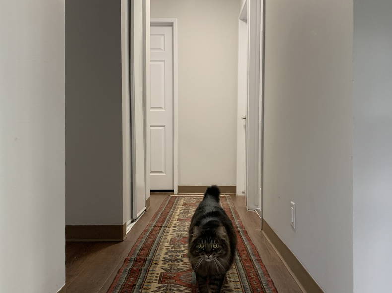 Gastfamilie Calgary 430449-4