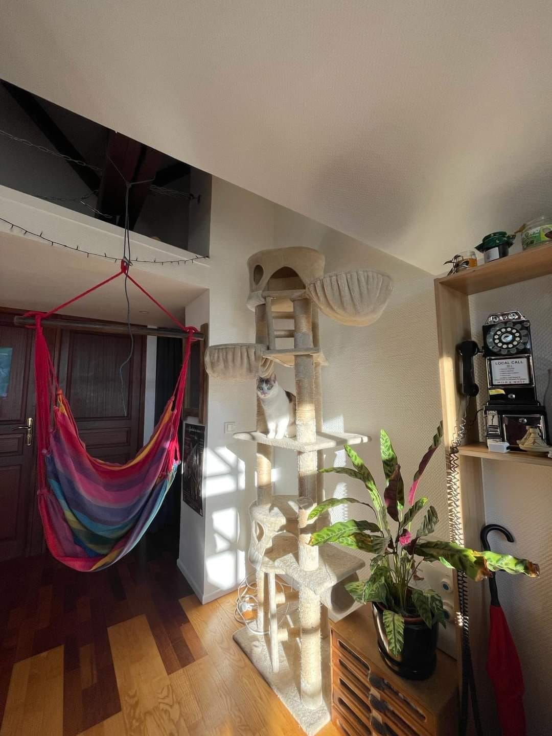 Homestay Metz 368464