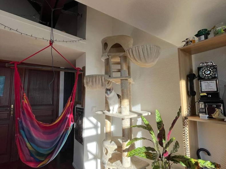 Gastfamilie Metz 368464-2