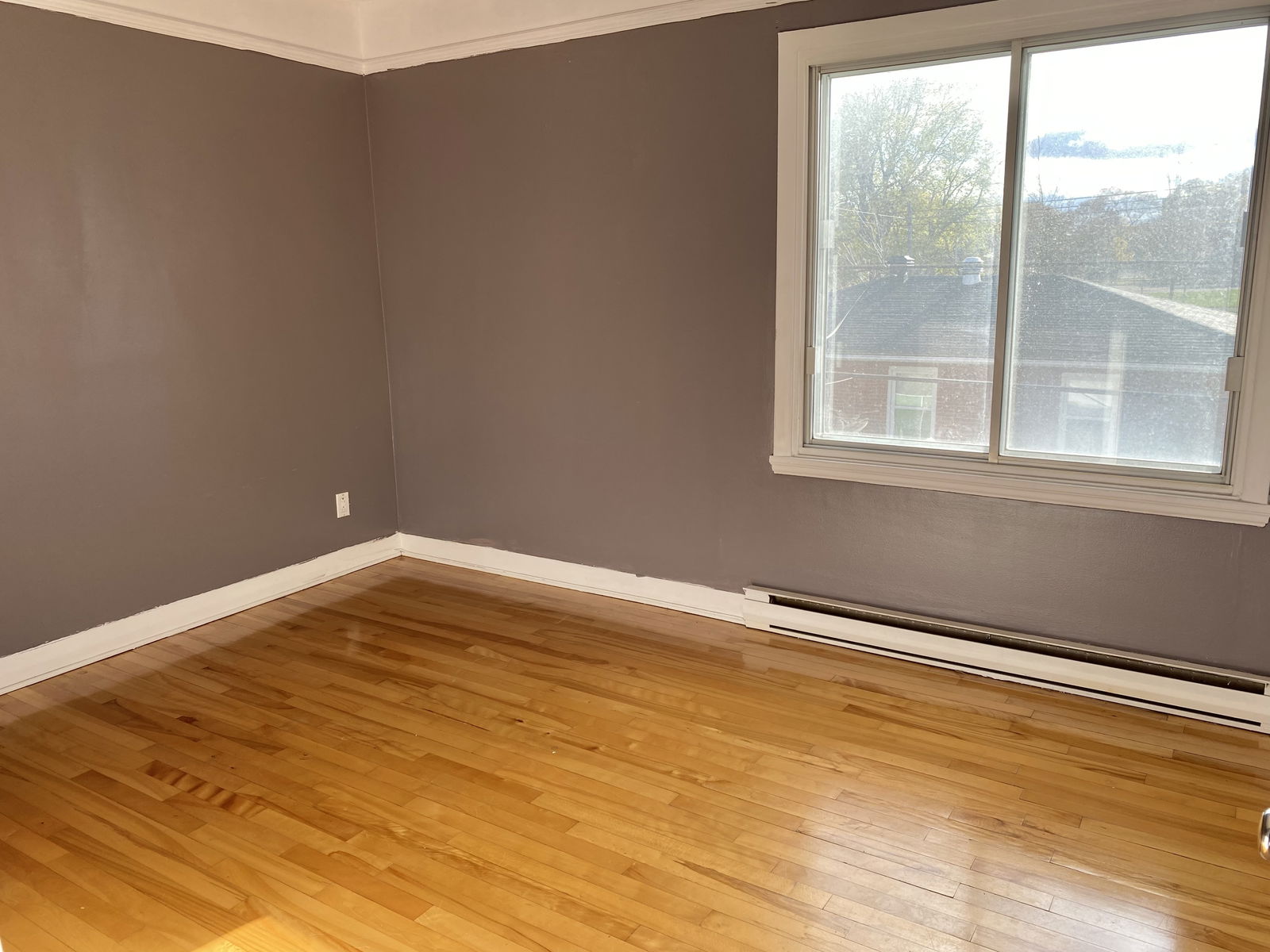 Homestay Montréal 254433