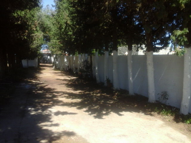 Quedarse En Casa Conil de la Frontera 176826