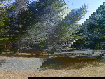 Chambre D'hôte Bialet Massé 628515-6