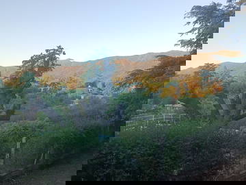 Chambre D'hôte Bialet Massé 628515-8