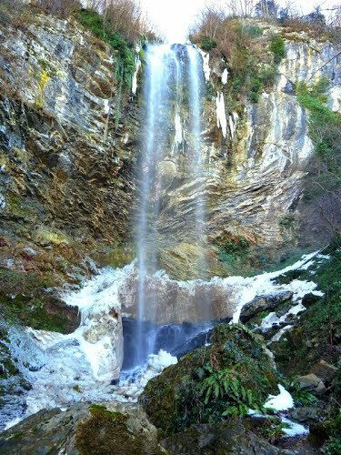 Estudio Independiente Alzen 150204