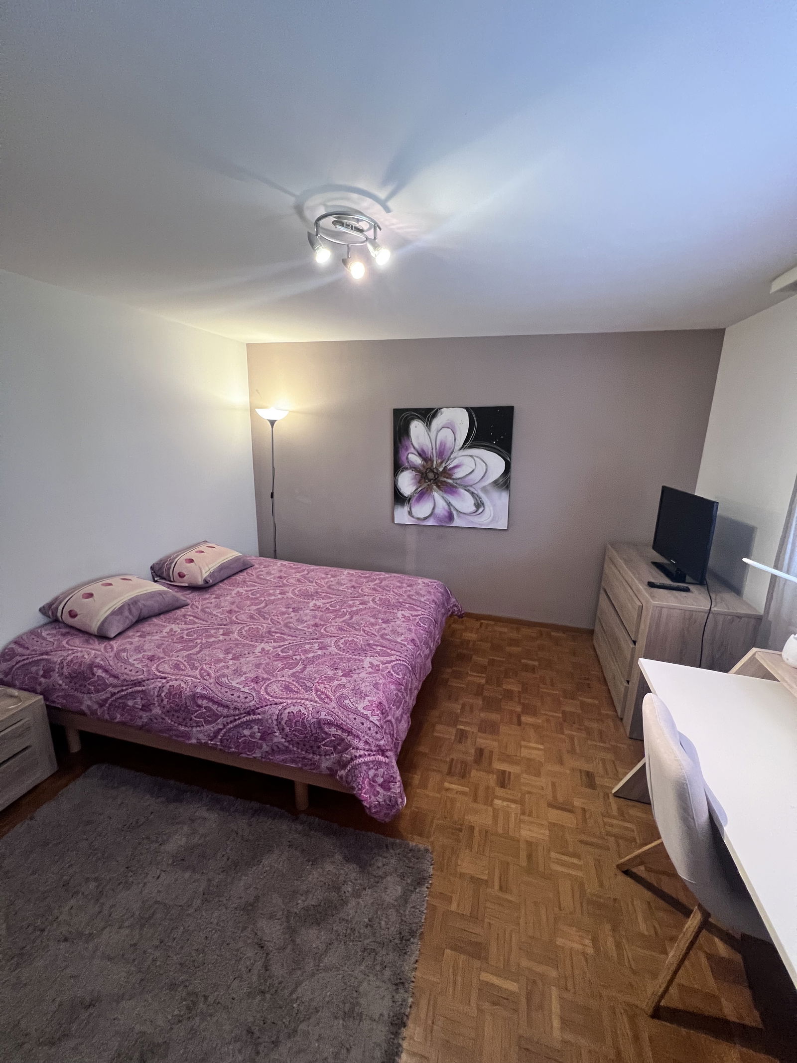 Collocazione Lausanne 315506