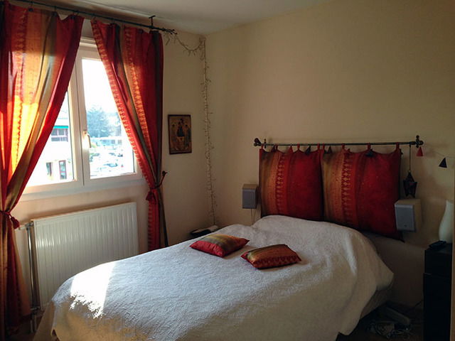 Kolokasie Talence 43491