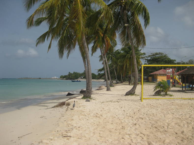 Gastfamilie Sandown 141037-4