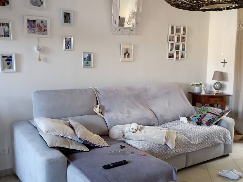 Chambre Chez L'habitant Villeurbanne 246553-1