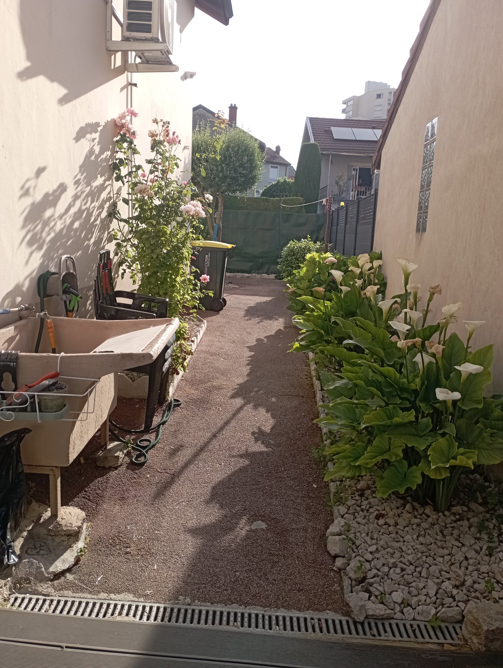 Chambre Chez L'habitant Villeurbanne 246553