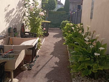 Chambre chez l'habitant à louer à Villeurbanne - photo 7 : jardin-7