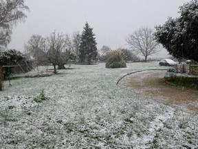 Casa particular com três quartos para alugar no campo, com um amplo jardim.