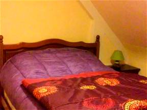Rent In Broons Room For Female Person