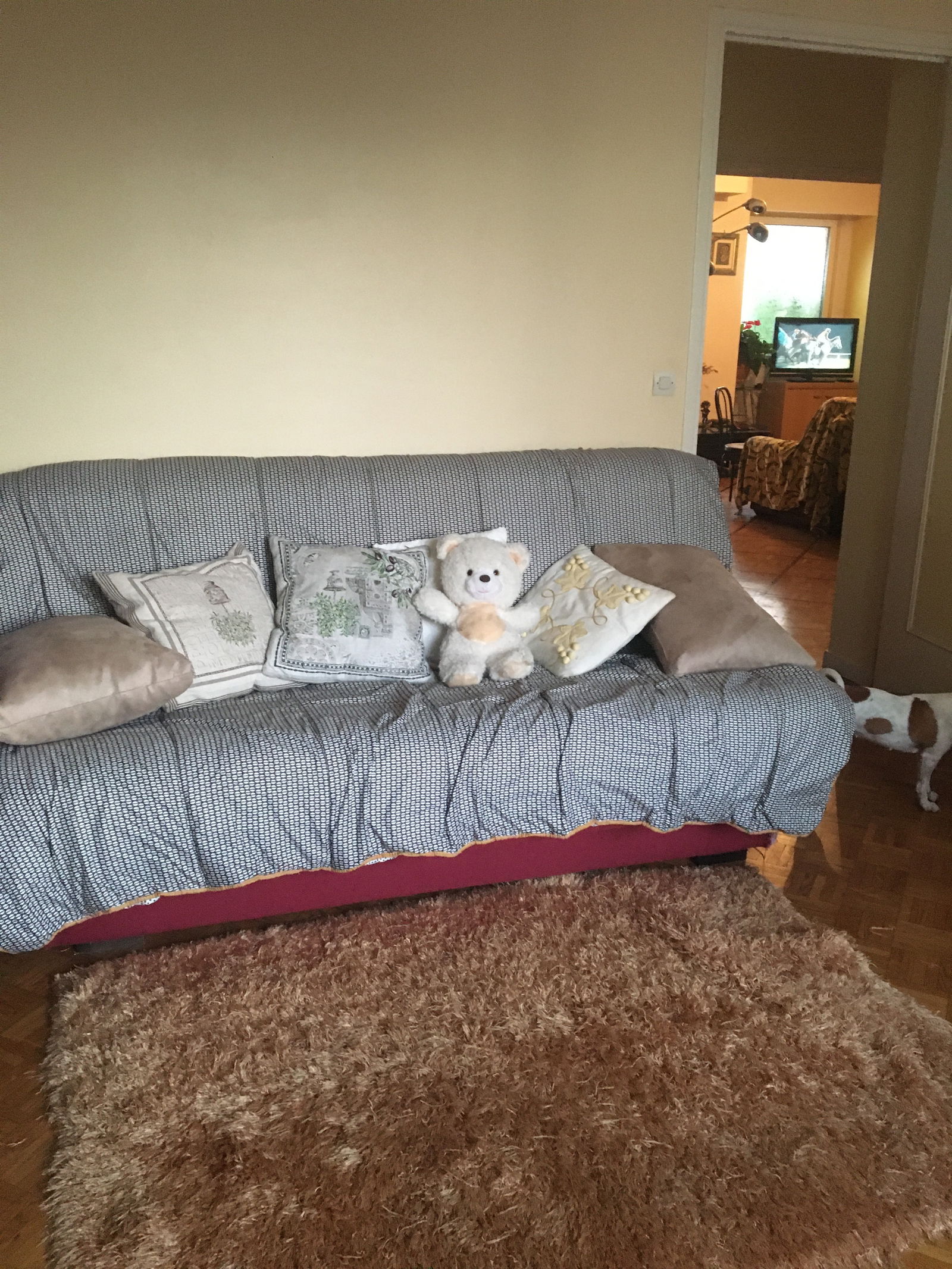 Chambre Chez L'habitant Nice 239734