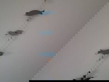 Logement Entier Le Pradet 429272-2