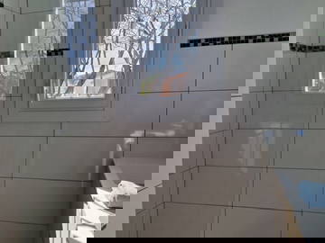 Logement Entier Le Pradet 429272-10