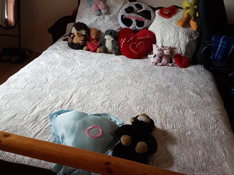 Chambre Chez L'habitant Agen 181654-1