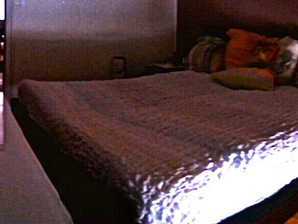 Colocation Marseille 130391-2