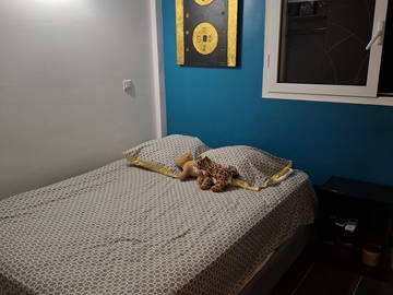 Chambre Chez L'habitant St Paul 264017-4