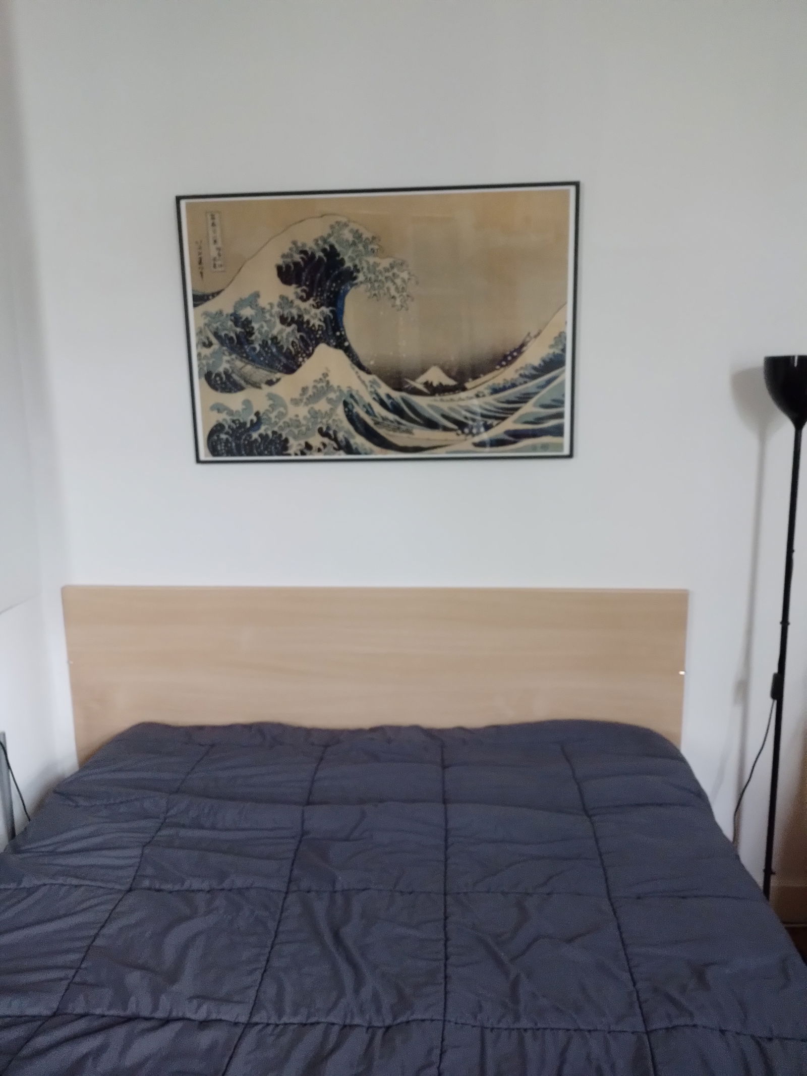 Chambre Chez L'habitant Tours 625538