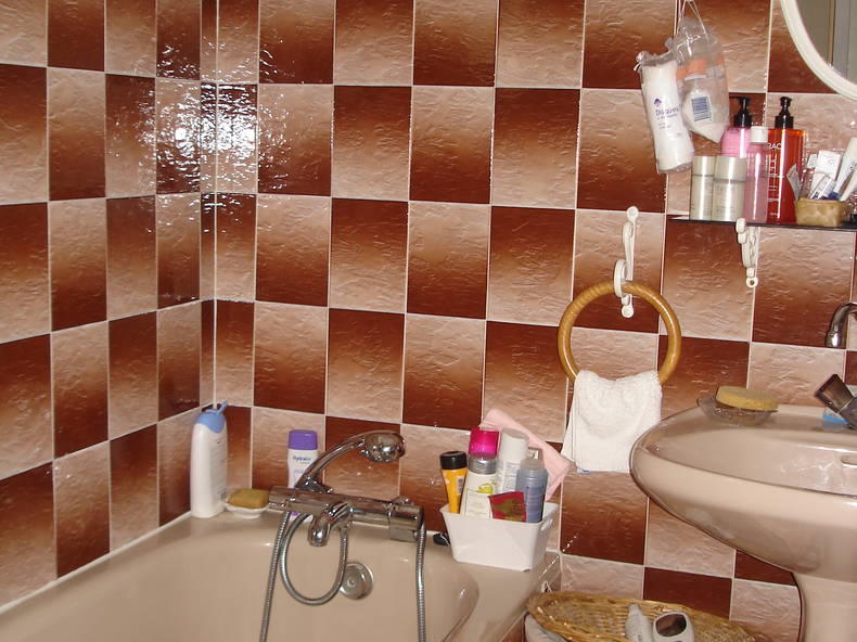 Chambre Chez L'habitant Tournefeuille 146320-3