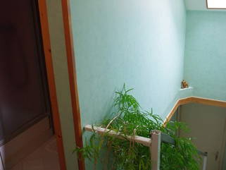 Gästezimmer Glennes 3829-2