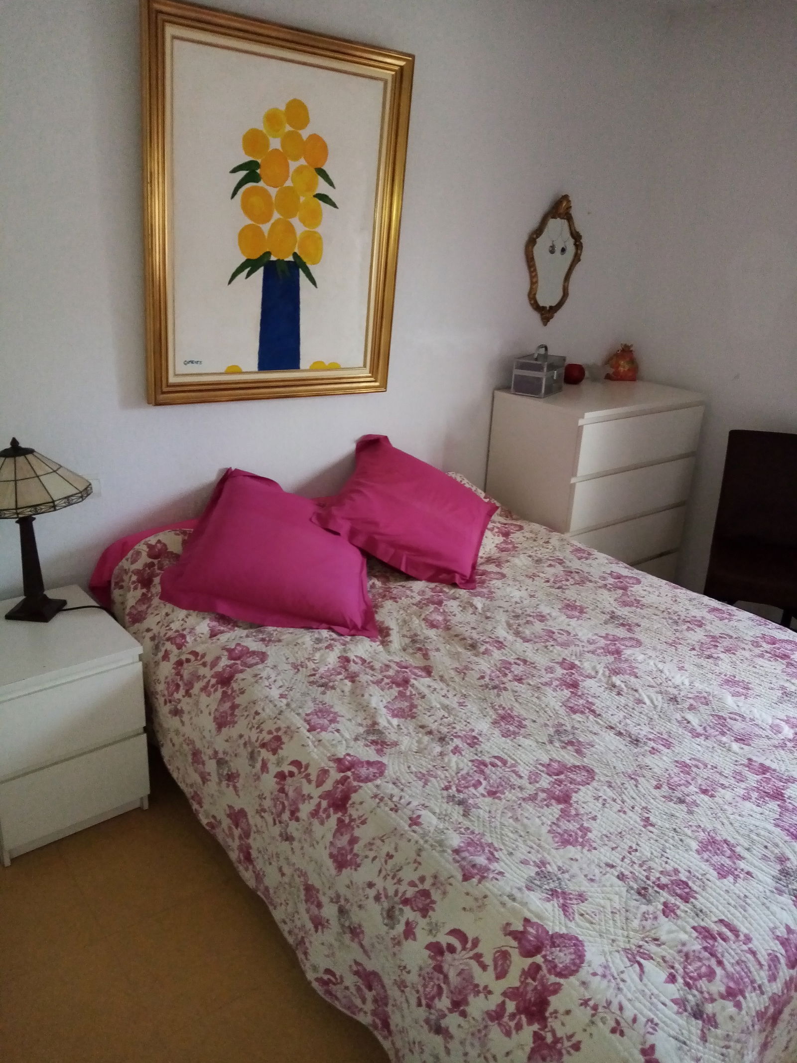 Estudio Independiente Montpellier 255823