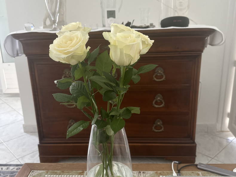 Colocation Béziers 567991-2