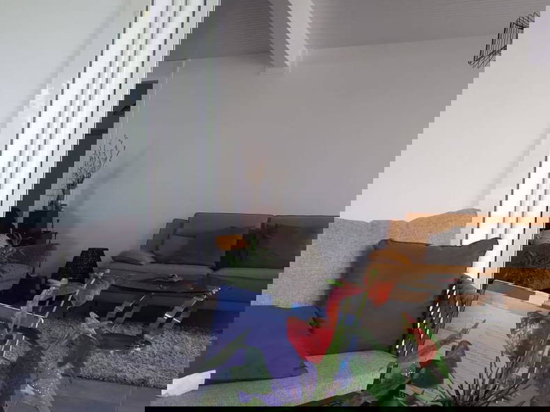 Kolokation Schoelcher 256078-1