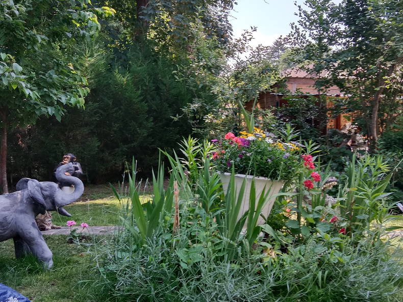 Colocation Septeuil 513541-2