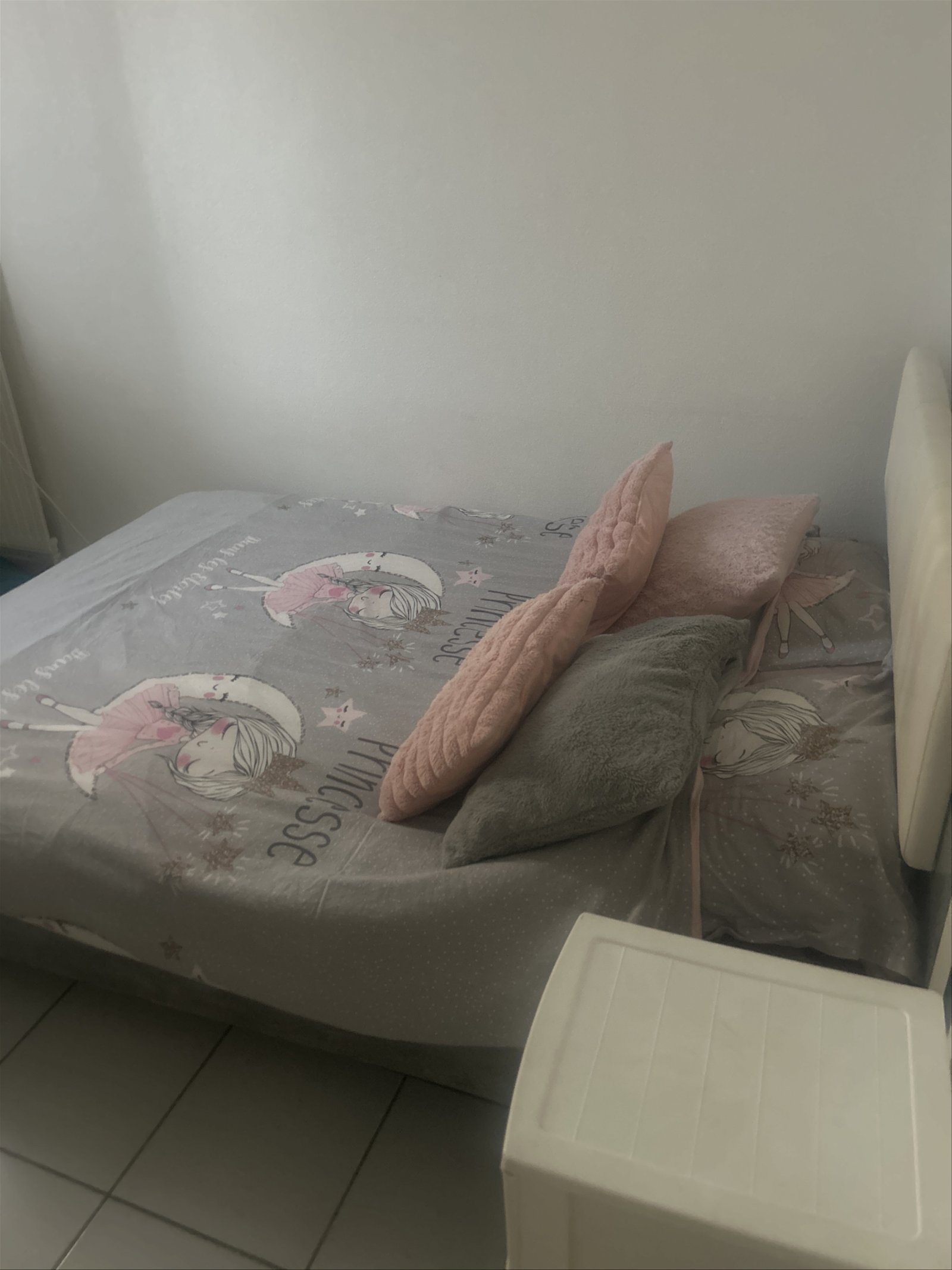 Hemvistelse Nice 334676