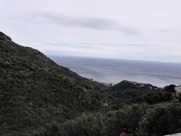 Chambre Chez L'habitant Paris 127947-7