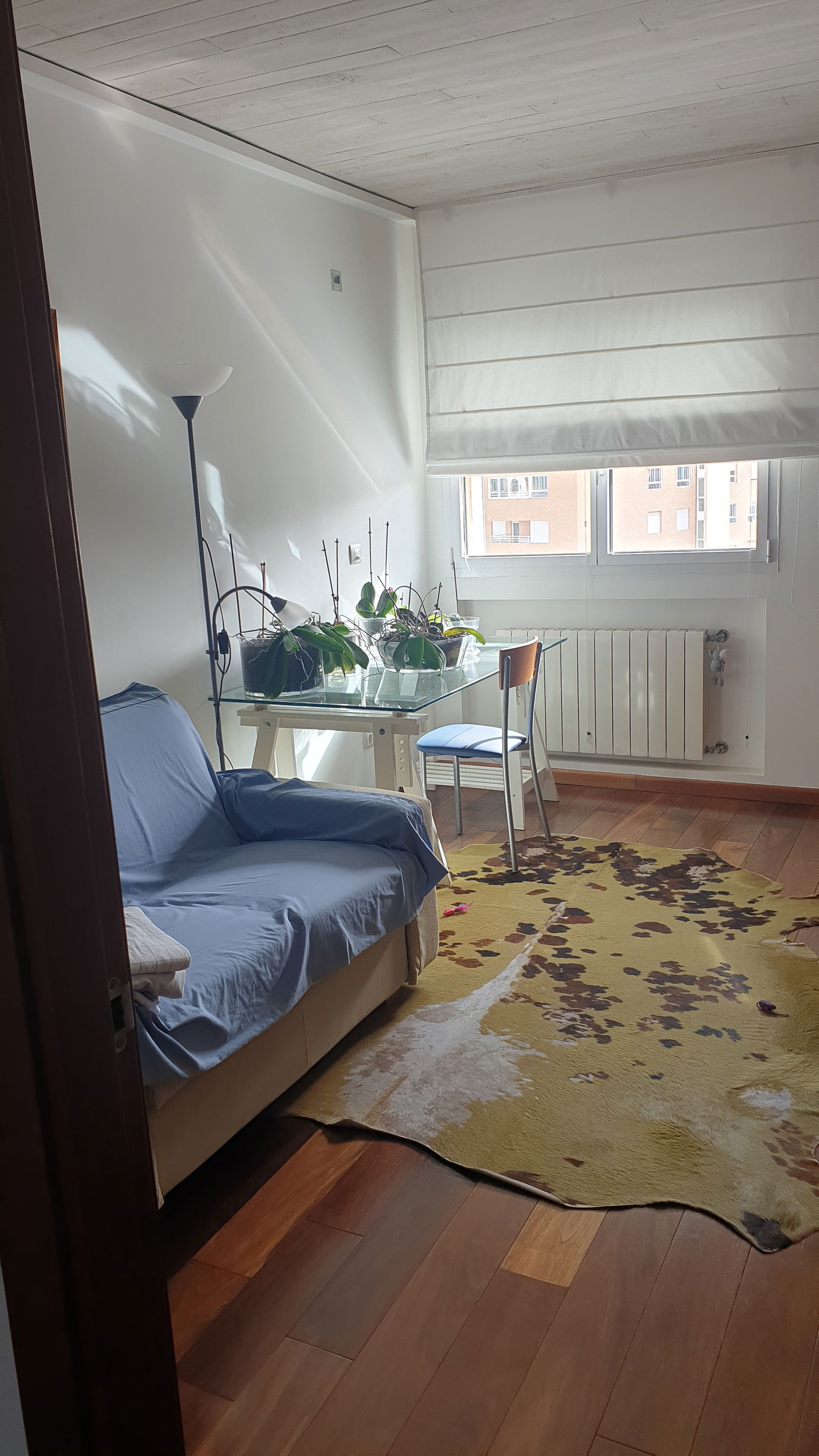 Chambre Chez L'habitant Alacant 224874