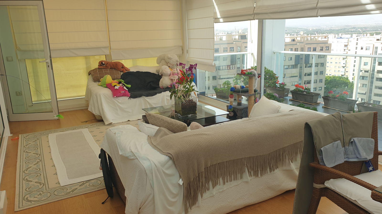 Chambre Chez L'habitant Alacant 224874