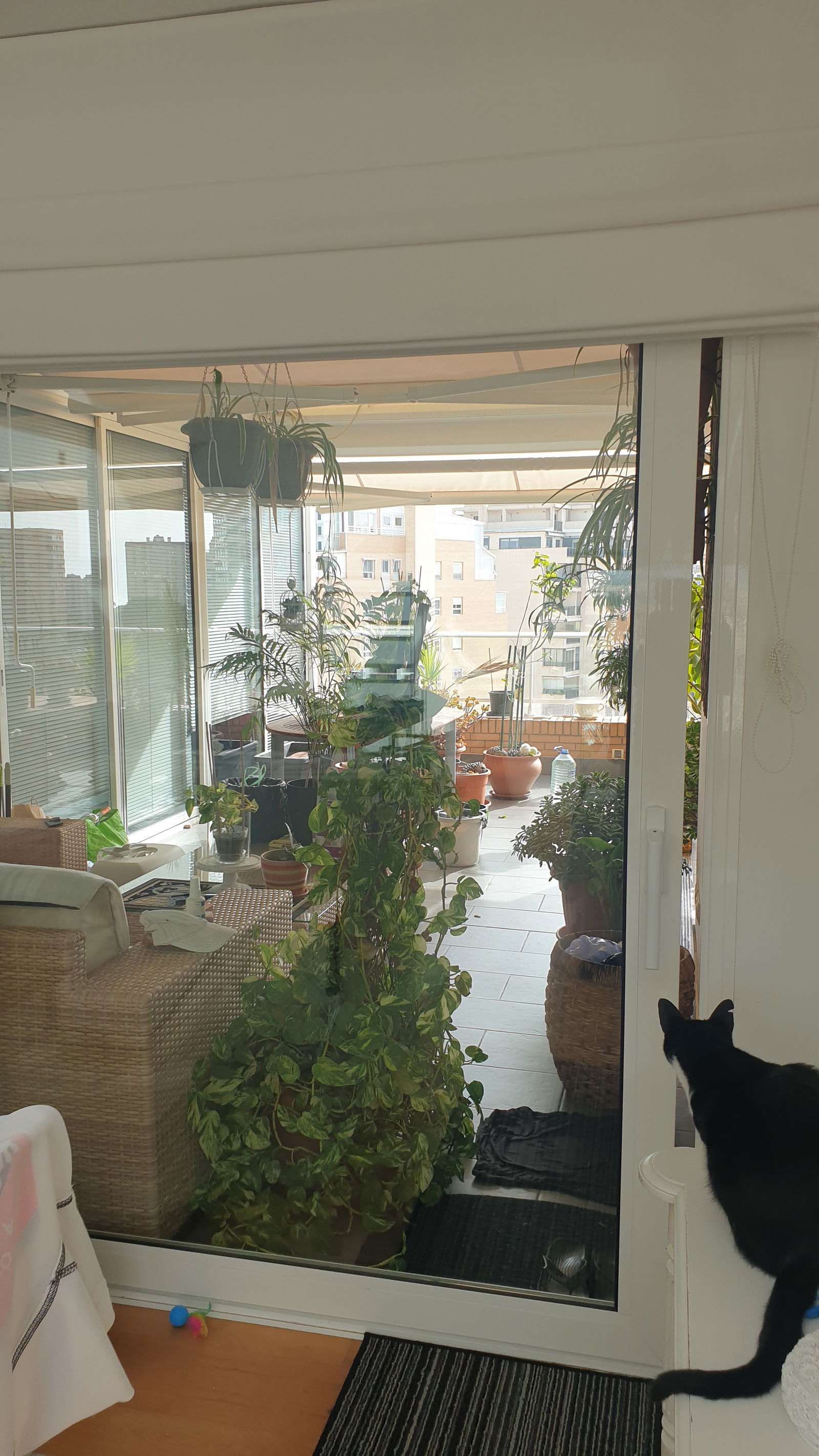 Chambre Chez L'habitant Alacant 224874