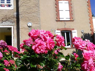 Chambre À Louer Saint-Florent-Le-Vieil 149672