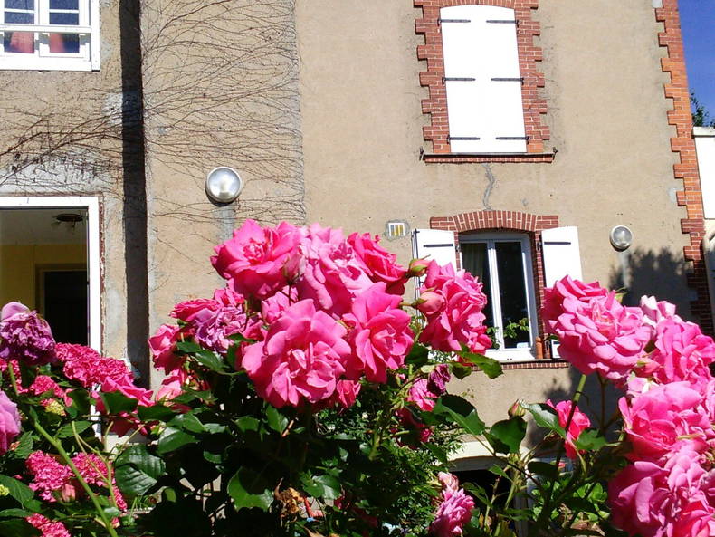 Homestay Saint-Florent-le-Vieil 149672-2