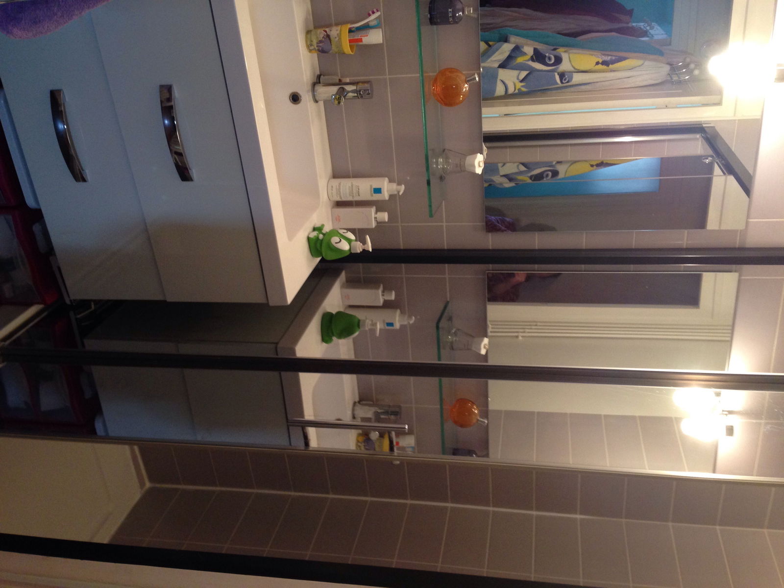 Chambre Chez L'habitant Nogent-sur-Marne 149509