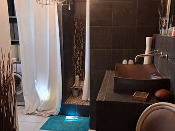 Chambre chez l'habitant à louer à Muizon - photo 7 : salle de bain-7
