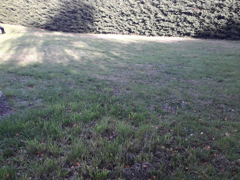 Gastfamilie Saint-Symphorien-sur-Coise 614352-4