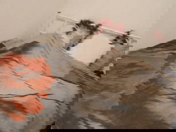 Shared Accommodation Captieux 657534-1