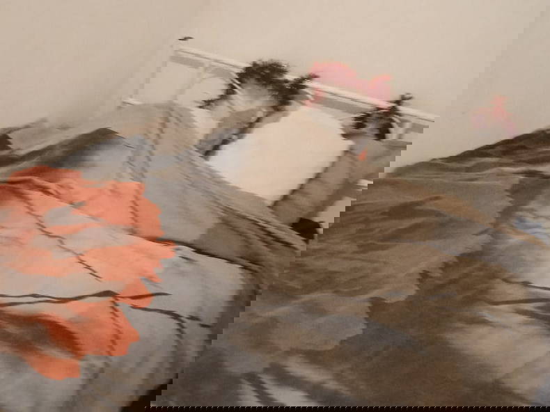 Colocatie Captieux 657534-1