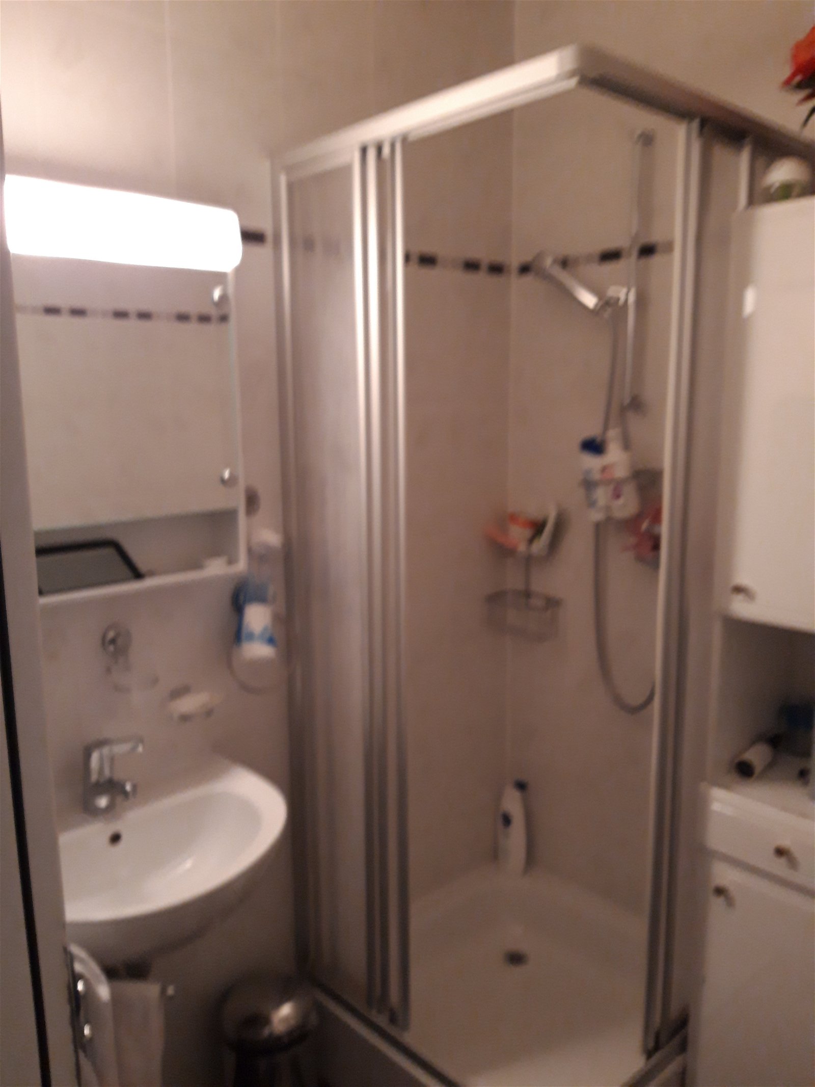 Gastgezin Plan-les-Ouates 147443